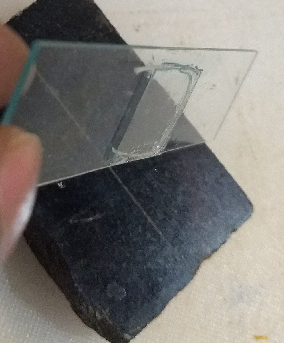   anti-squish slides for Foldscope