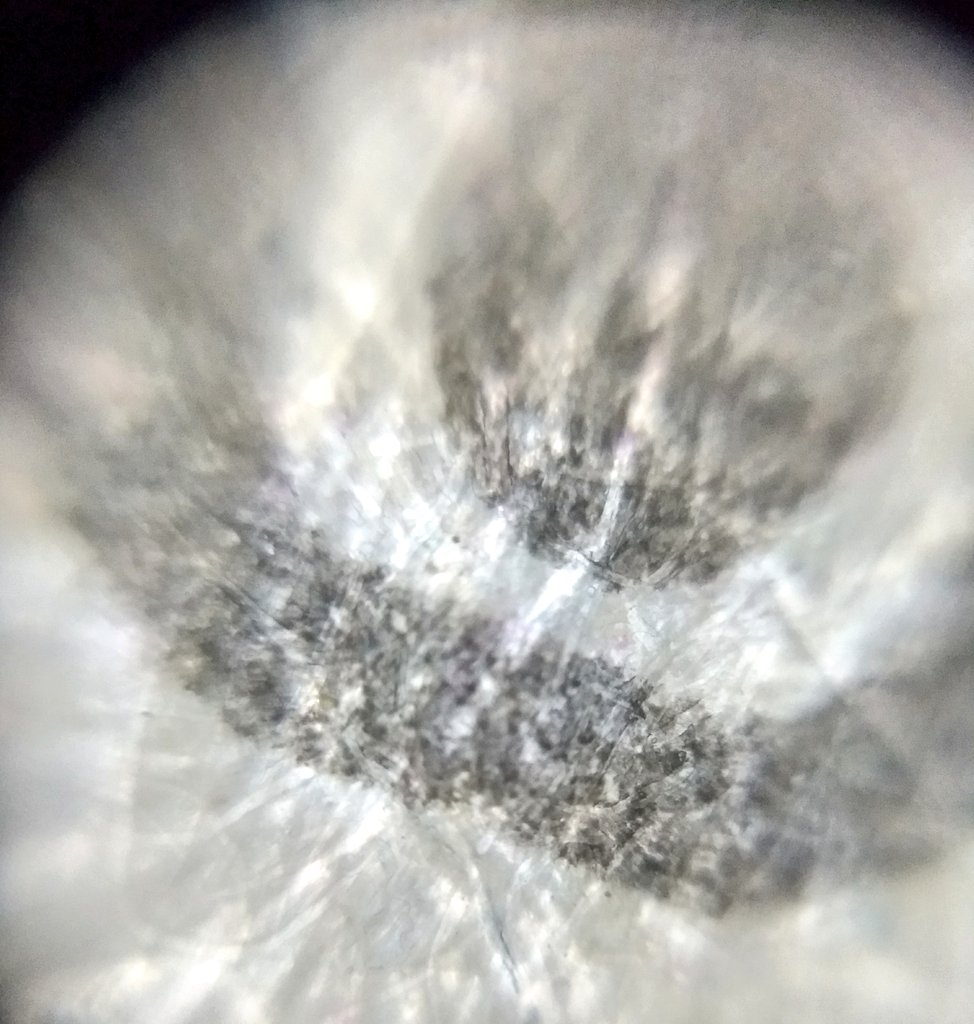  image of Foldscope