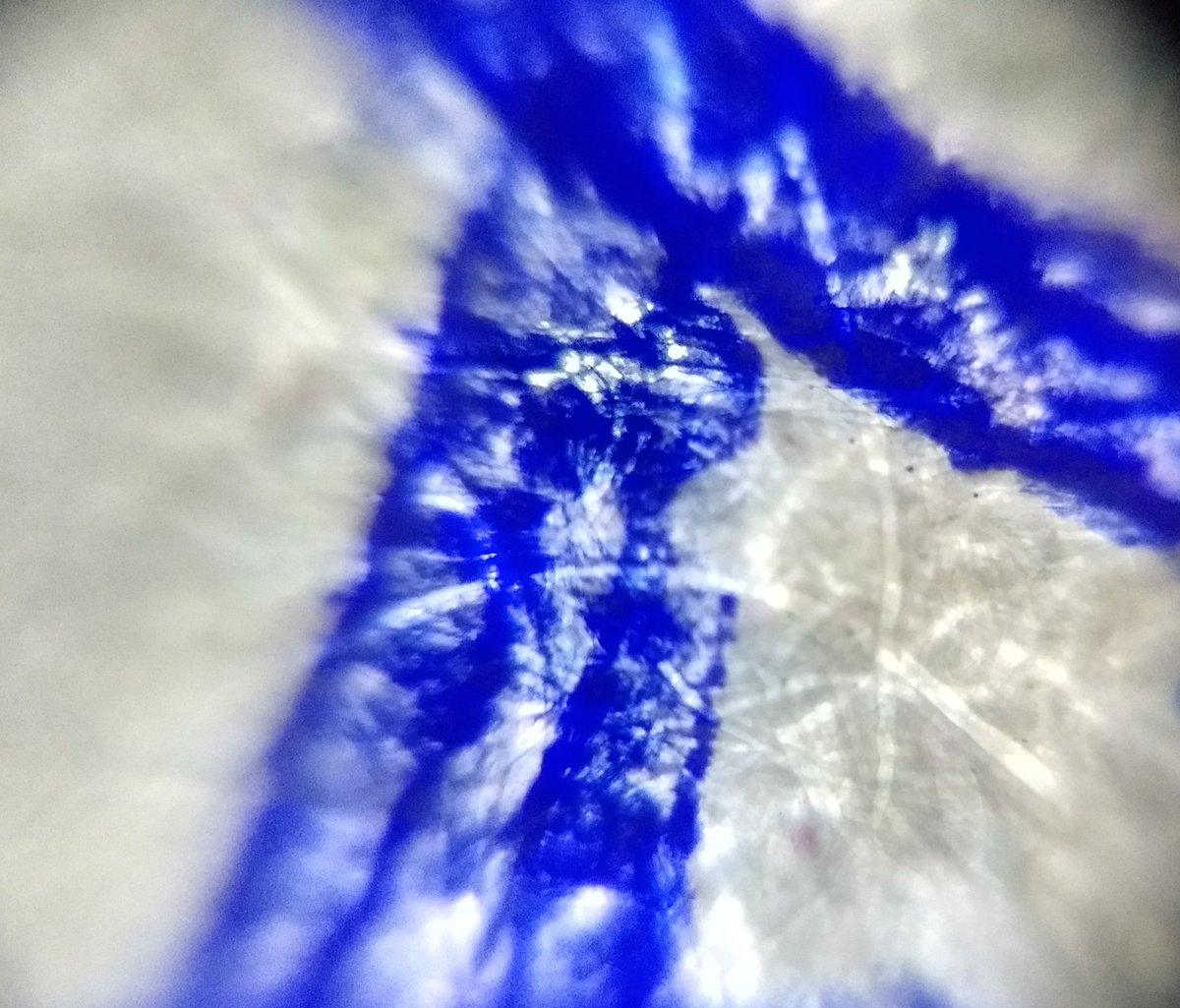  image of Foldscope